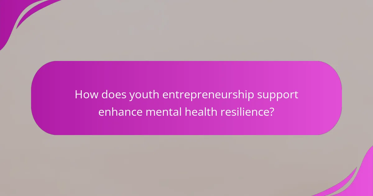 How does youth entrepreneurship support enhance mental health resilience?