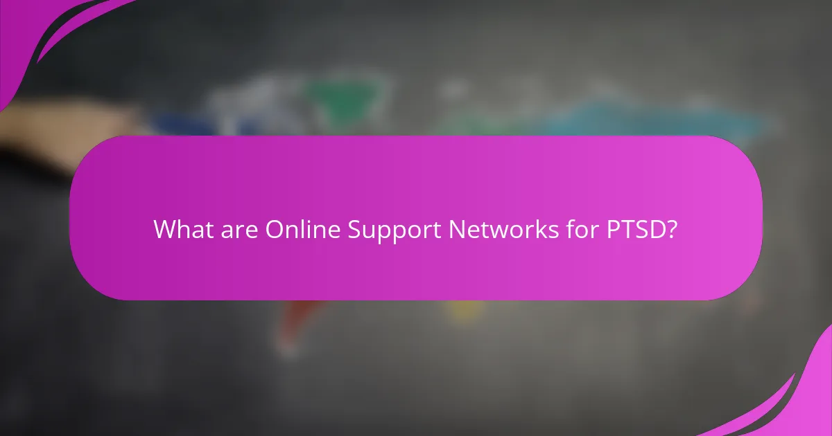 What are Online Support Networks for PTSD?
