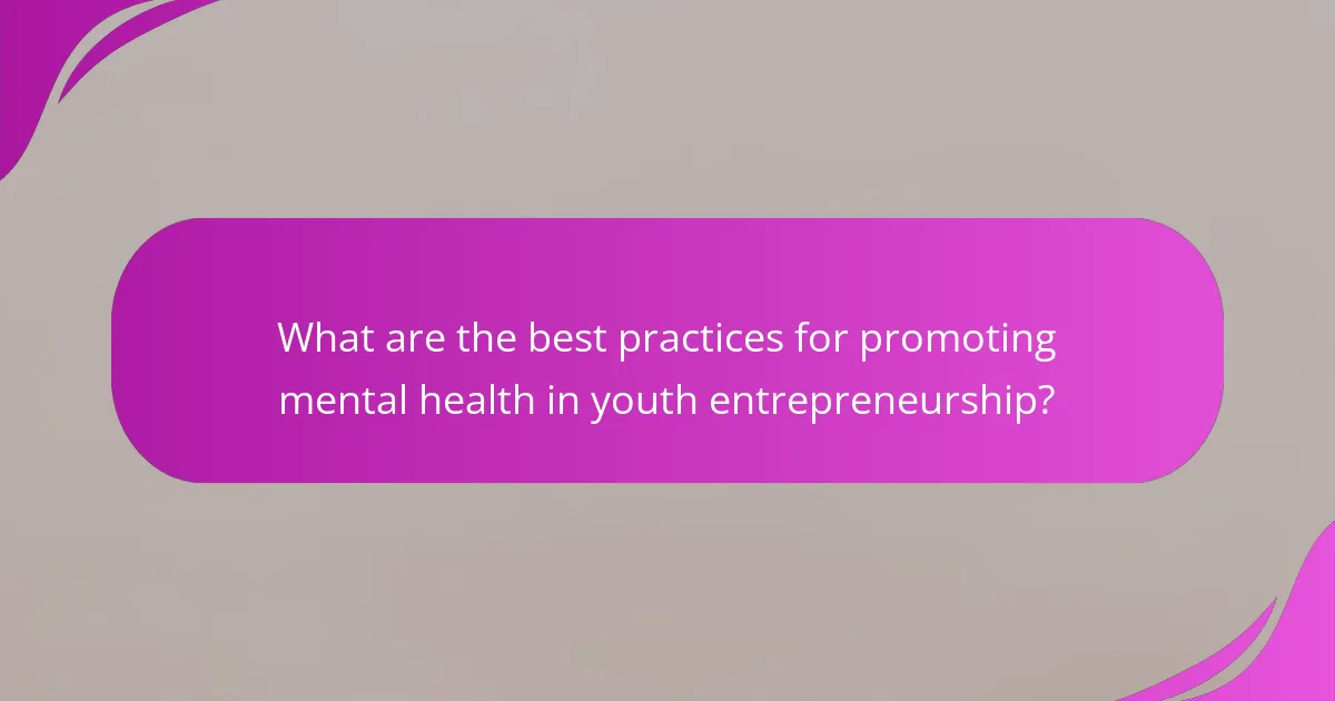 What are the best practices for promoting mental health in youth entrepreneurship?