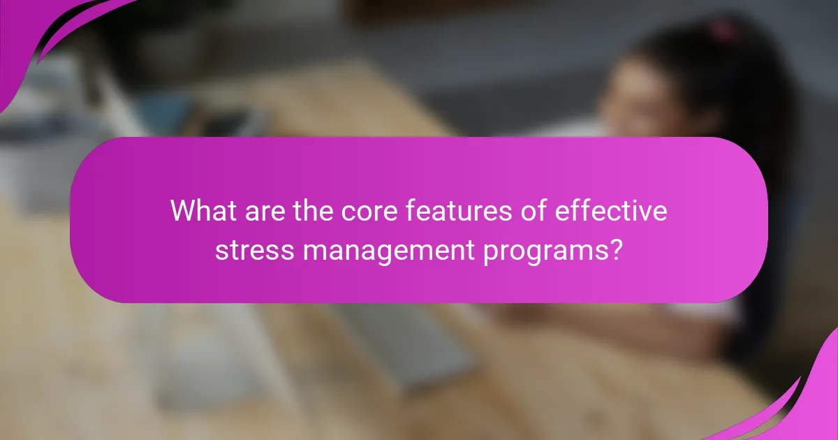 What are the core features of effective stress management programs?