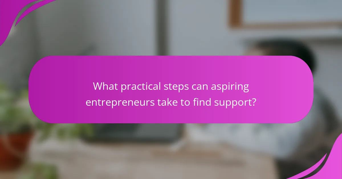What practical steps can aspiring entrepreneurs take to find support?